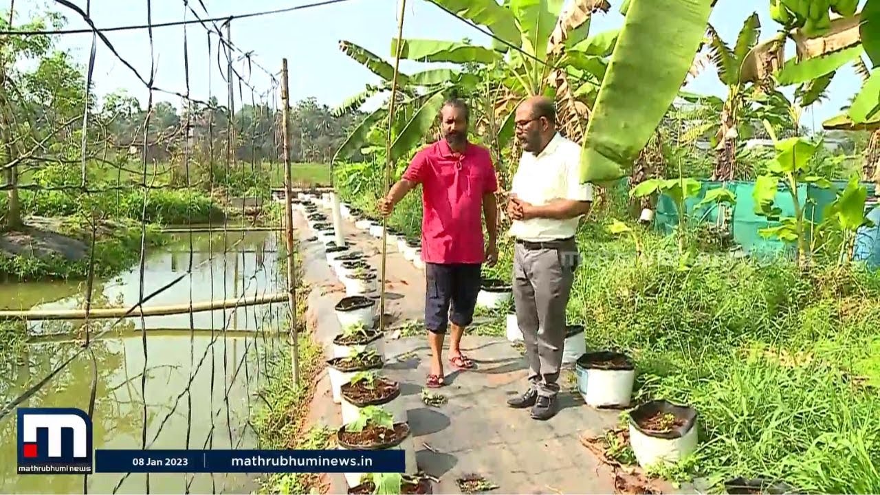 സംയോജിത കൃഷി എന്ന മികച്ച സാധ്യത | Integrated Farming | Krishibhoomi | Mathrubhumi News