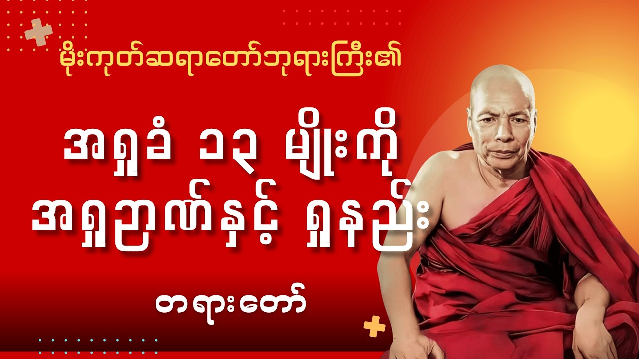 အရှုခံ ၁၃ မျိုးကို အရှုဉာဏ်နှင့် ရှုပွားနည်း #မိုးကုတ်ဆရာတော်ဘုရားကြီး