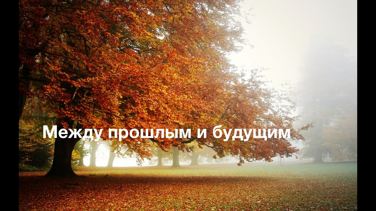 Между прошлым и будущим