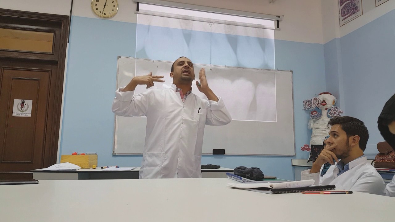 Oral Biology: dentin 1