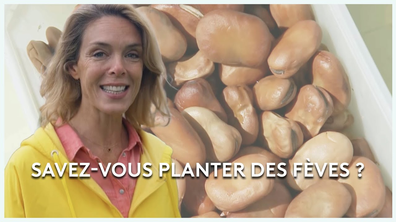 Le potager santé ardéchois - Les potagers de Julie