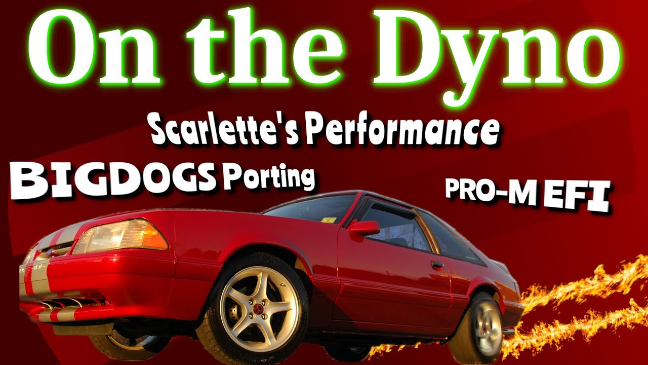 Dyno, BigDogs Porting, Pro-M EFI, AFR 205, Scarlettes Performance, Comp Cams XFI, 351w, Flowmaster