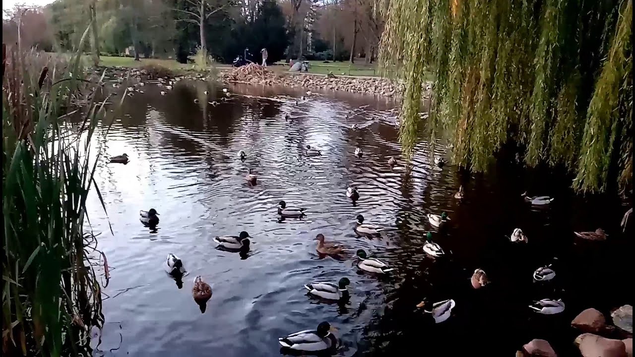 #Anklam Anklamer Stadtpark | Anklam | Germany