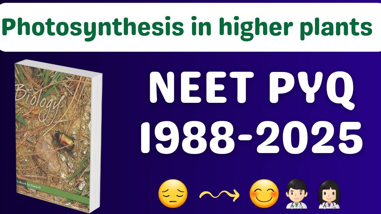 Photosynthesis in higher plants class 11 one shot neet pyq