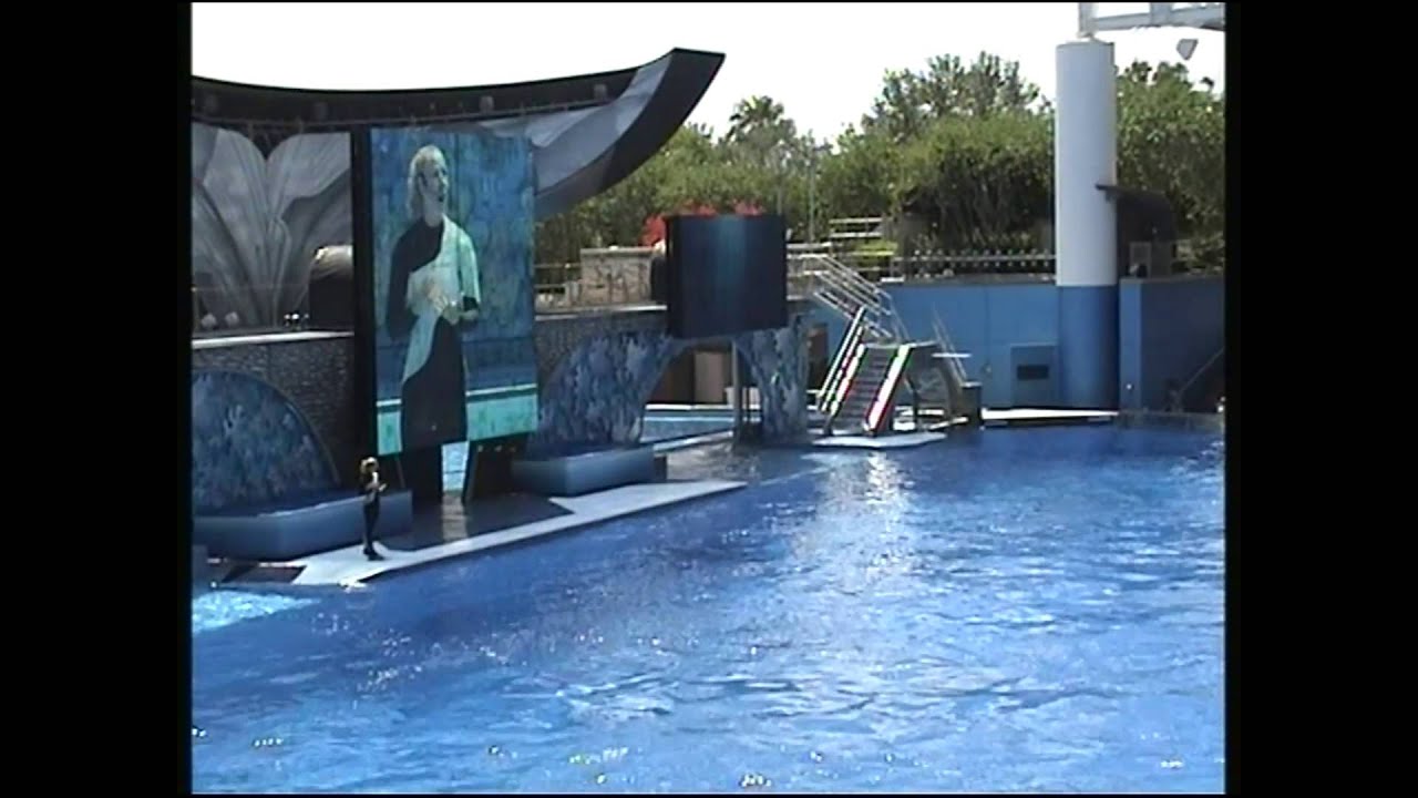 Shamu 'Believe' Seaworld Orlando 2009