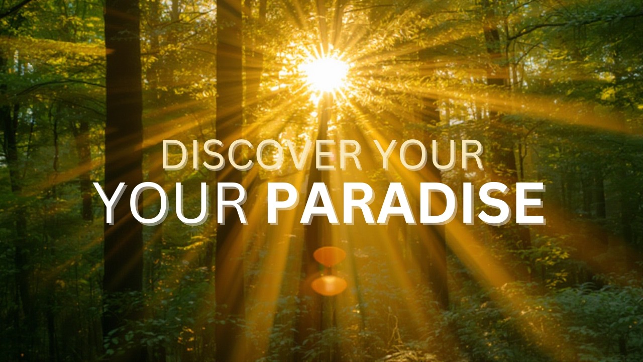 4K Nature 🌿 Sunny Garden & Bird Sounds for Study, Focus & Afternoon Relaxation | Luxe Nature