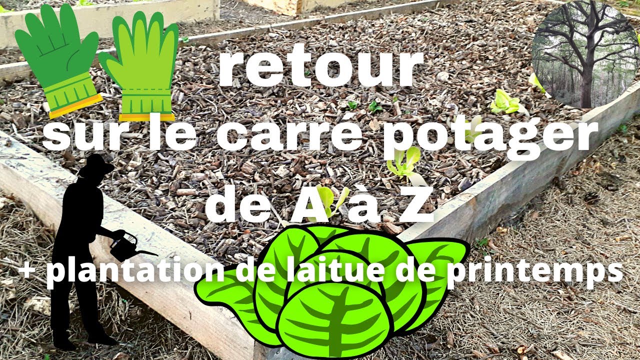 Retour sur le carré potager + plantation des salades de printemps