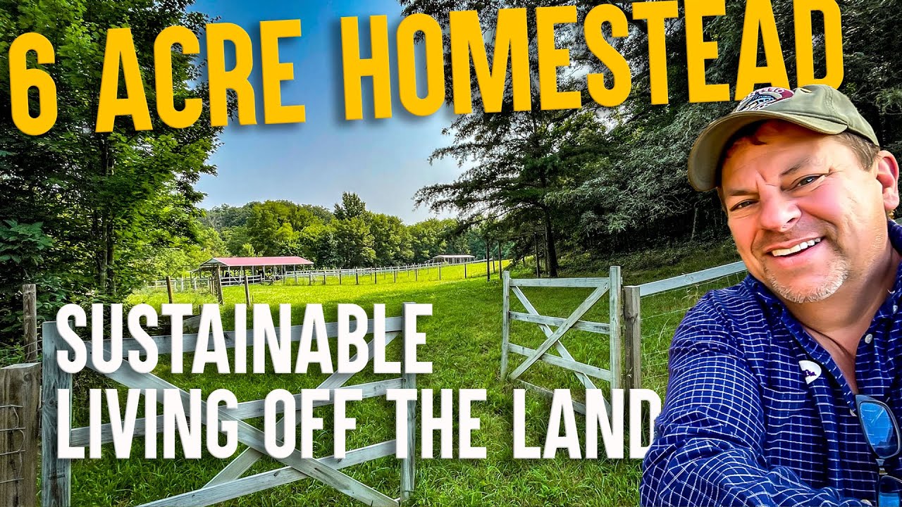 The Best Way to Homestead - Buy Land, cut wood, Grow Food, Raise Animals, Live off the Land