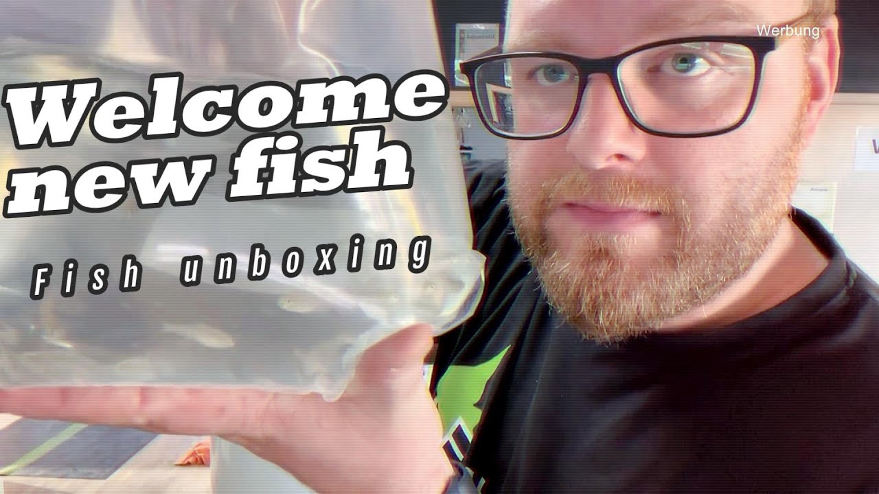 Neue Fische im April - unboxing