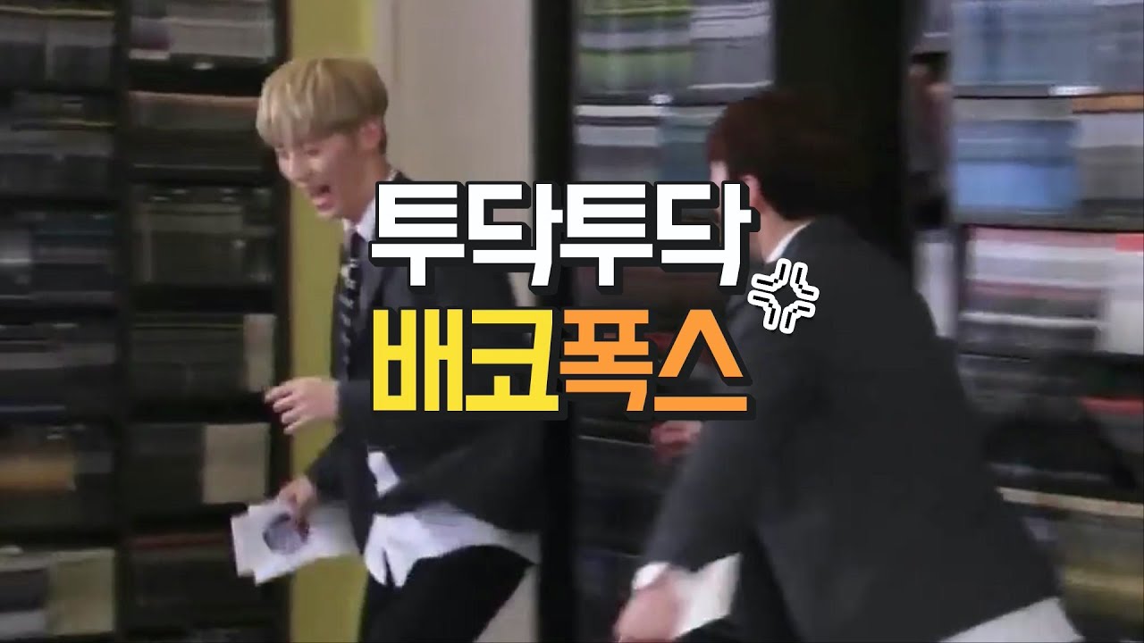 투닥투닥 배코폭스