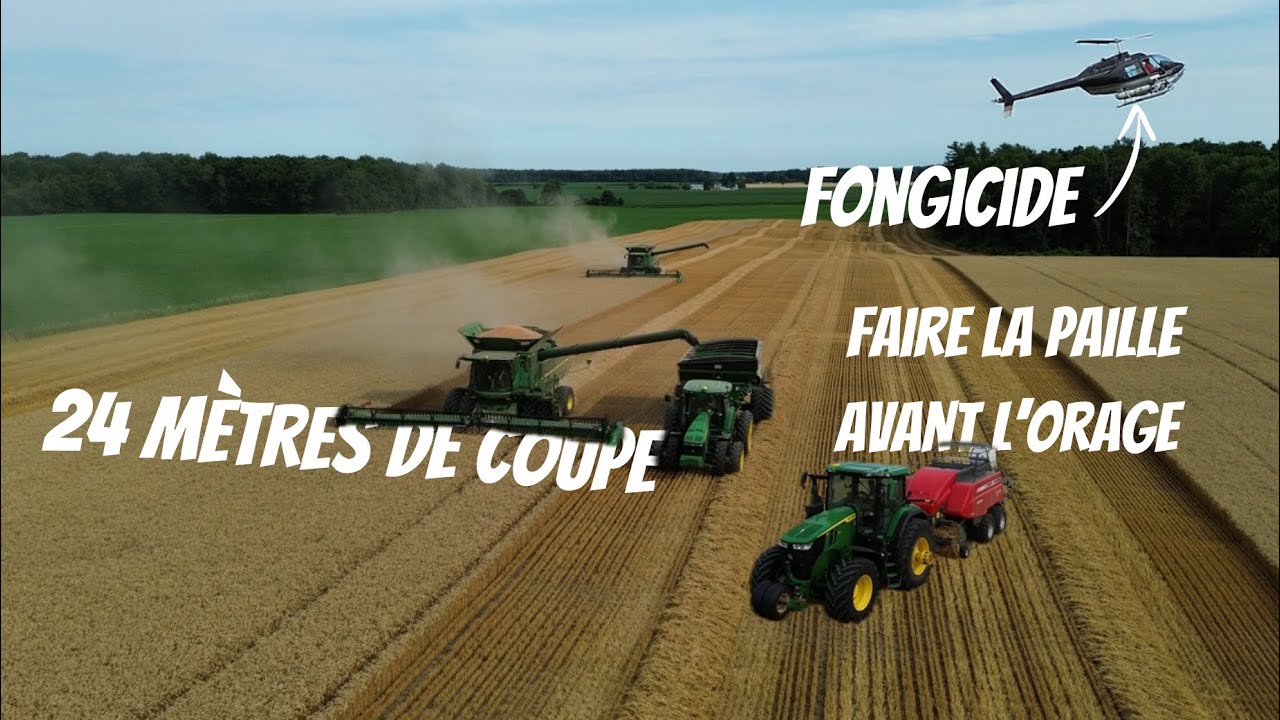 🤩24 MÈTRES de COUPE : MOISSON & PRESSAGE de paille de BLÉ | Traitement du MAÏS par HÉLICOPTÈRE