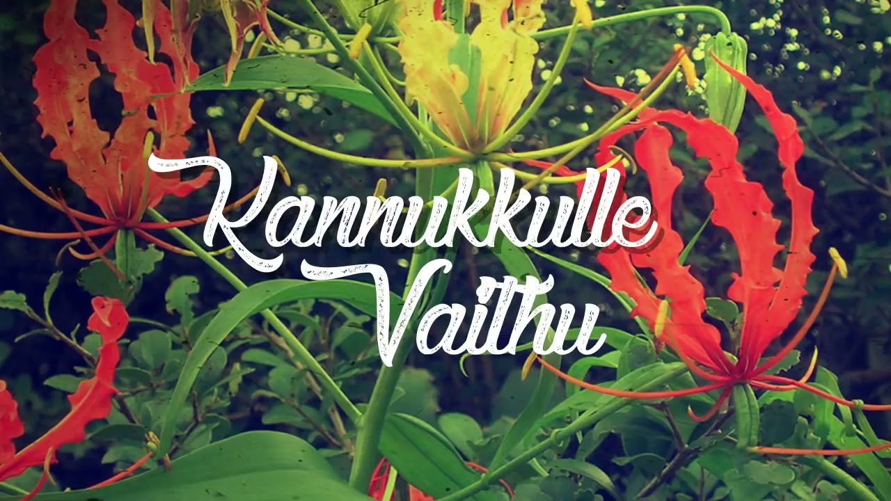 கண்ணுக்குள்ளே வைத்து காத்திடும் வீரரை மண்ணுக்குள்ளே விதைத்தோம்... | Kannukkulle Vaithu...
