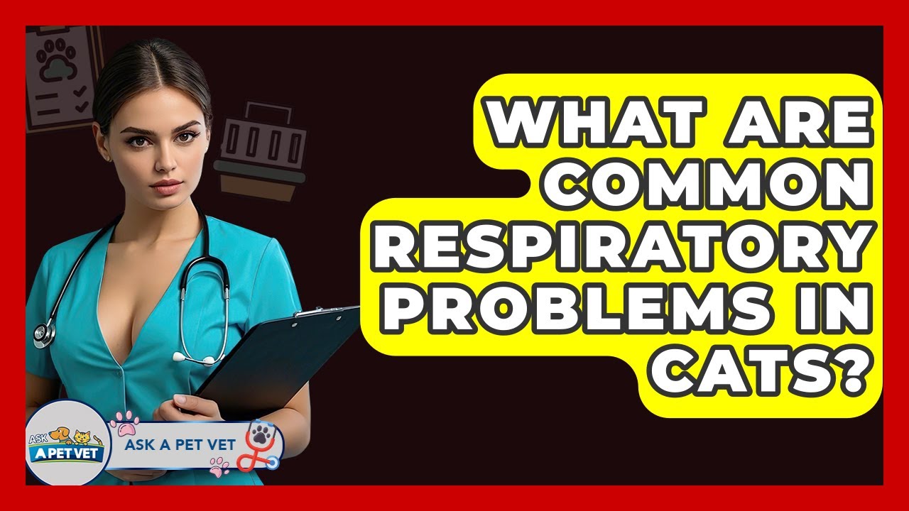What Are Common Respiratory Problems In Cats? - Ask A Pet Vet