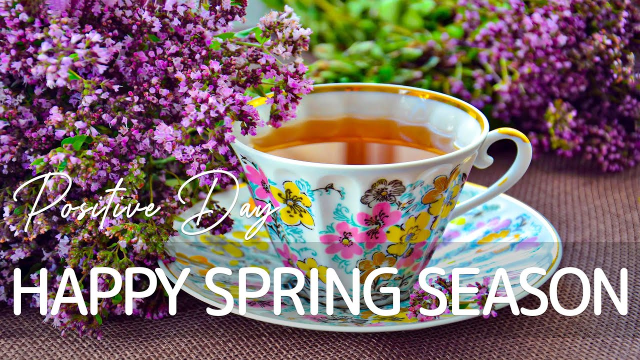 Happy Spring Season - A Cup of Tea with Smooth Jazz Music and Bossa Nova Piano to Boost Your Mood