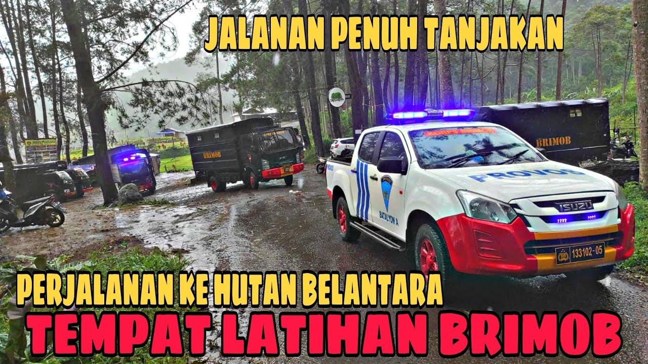 PERJALANAN MENUJU HUTAN BELANTARA TEMPAT LATIHAN TEMPUR PASUKAN BRIMOB.