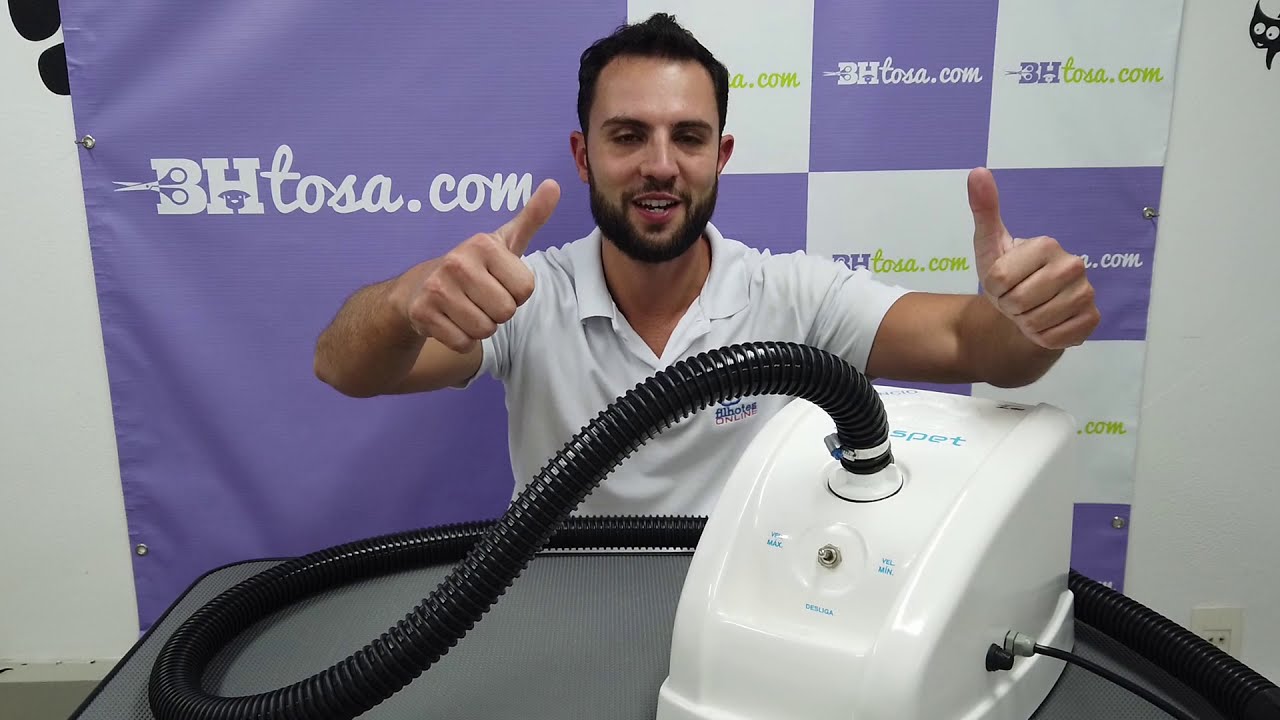 SOPRADOR PARA PET SHOP SILÊNCIO - Teste e comparativo Sopradores para Banho e Tosa