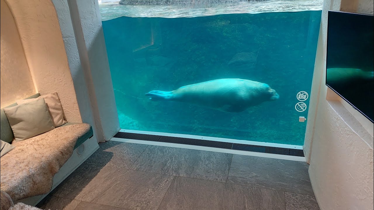 Pairi Daiza  Resort - The Walrus House - september 2024