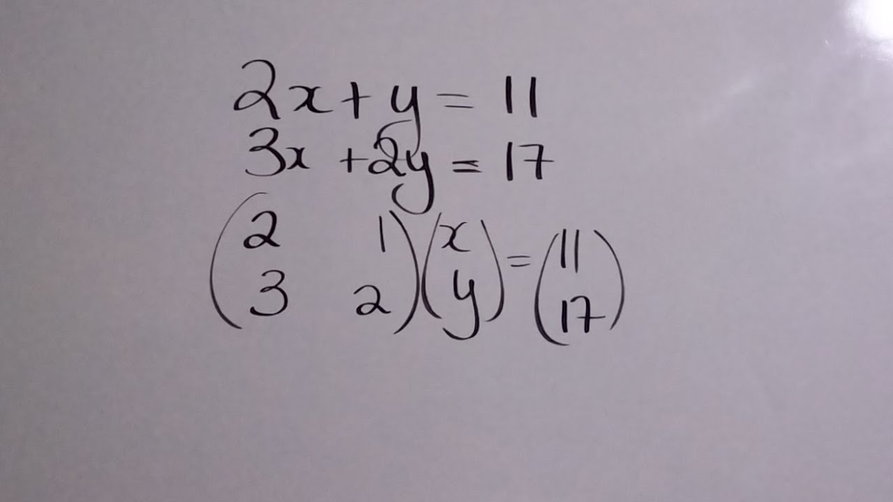 Matrices 2023