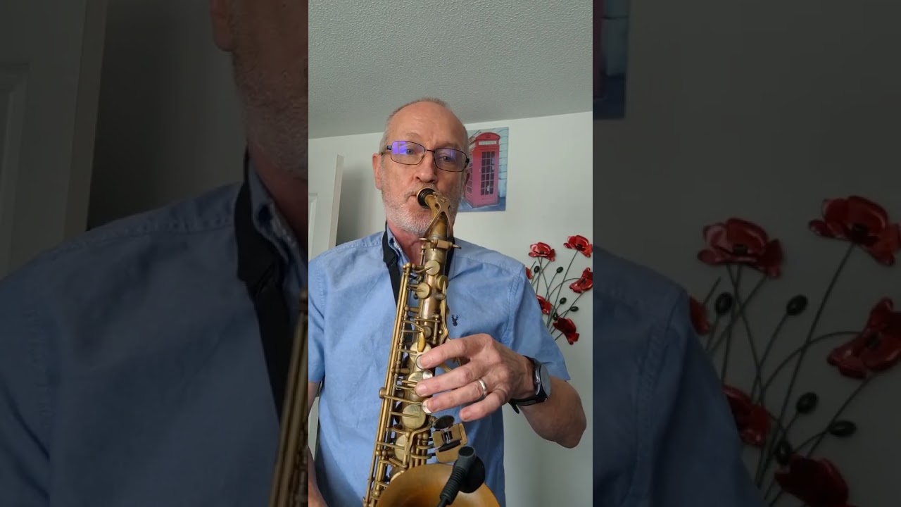 Misty- alto sax cover 