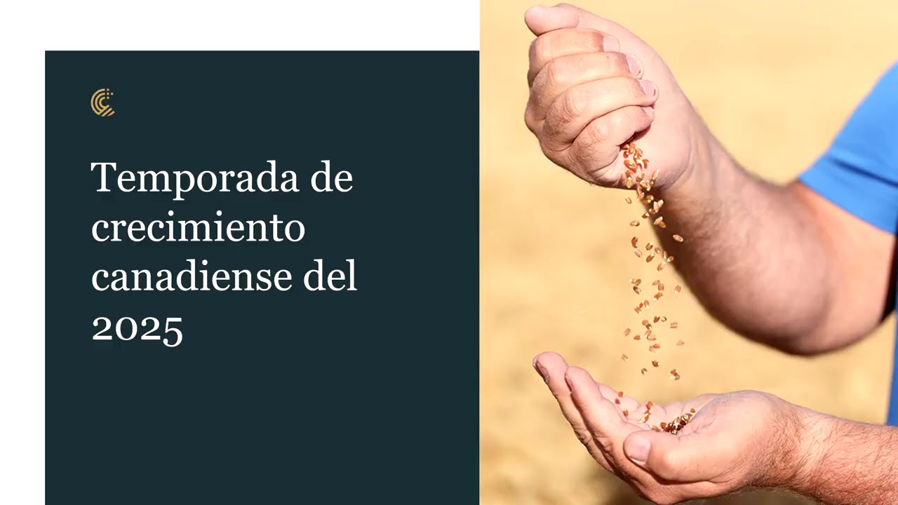 #ALIM2025 - Trigo de Canadá: José Antonio Gómez de Bunge