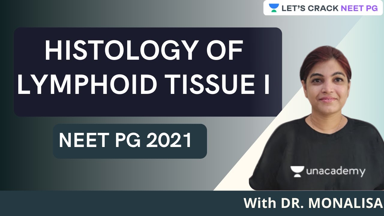 Histology of Lymphoid Tissue I | Conceptual Anatomy | NEET PG | Dr. Monalisa