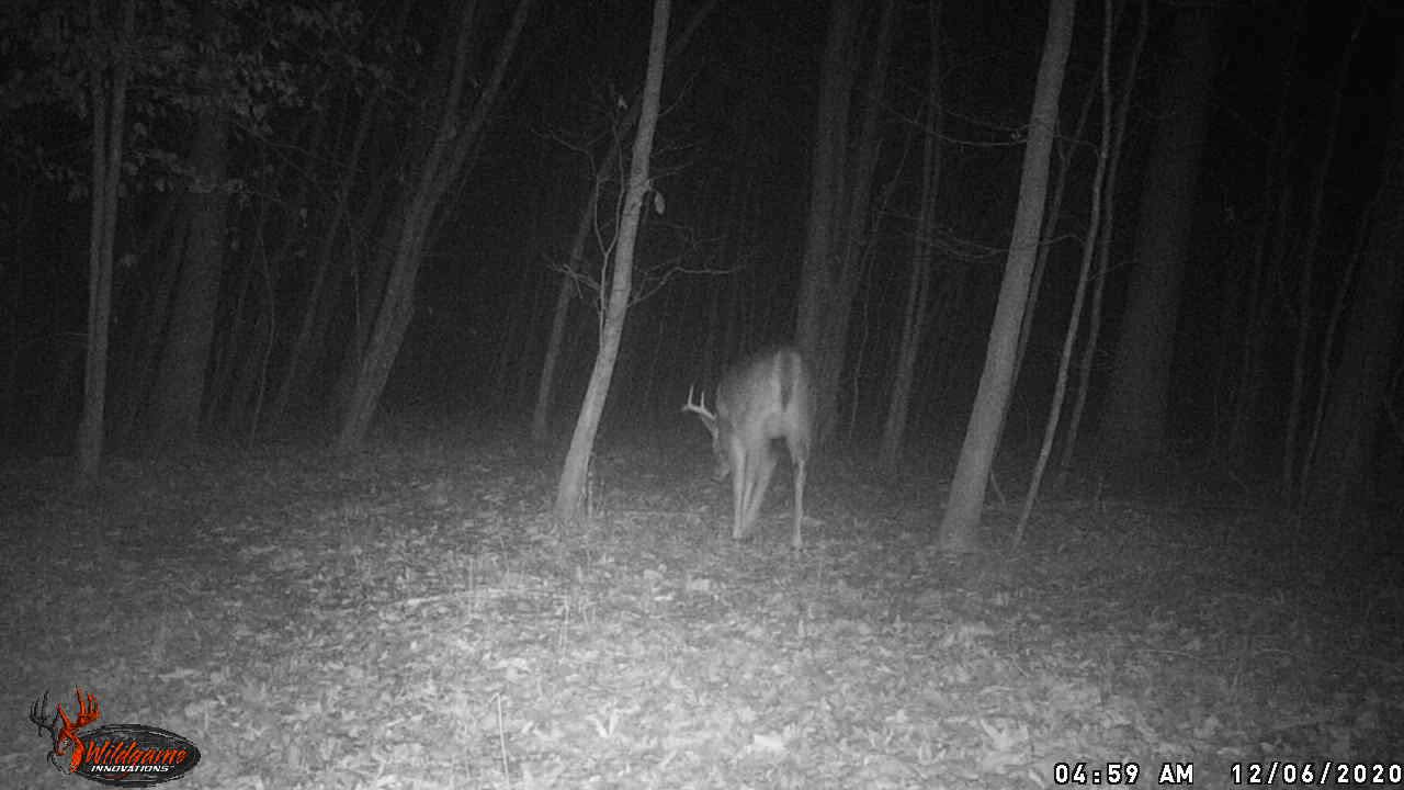 1 20201206 0459 Buck9