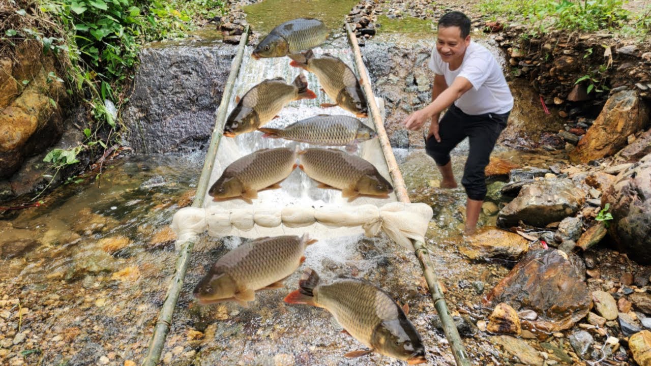 Ancient fish trapping method is surprisingly effective. Caught a big haul of fish.