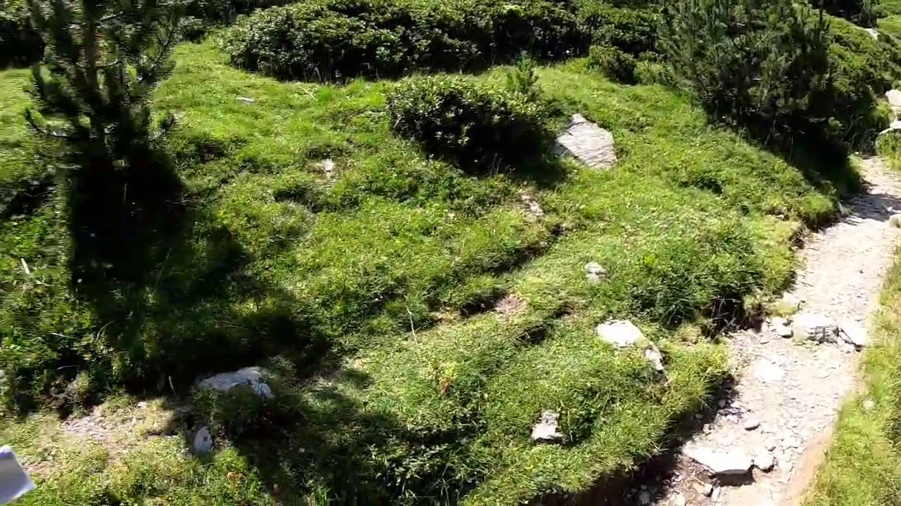 Queralbs.nuria-puigmal-fontalba-queralbs. 26/07/2020
