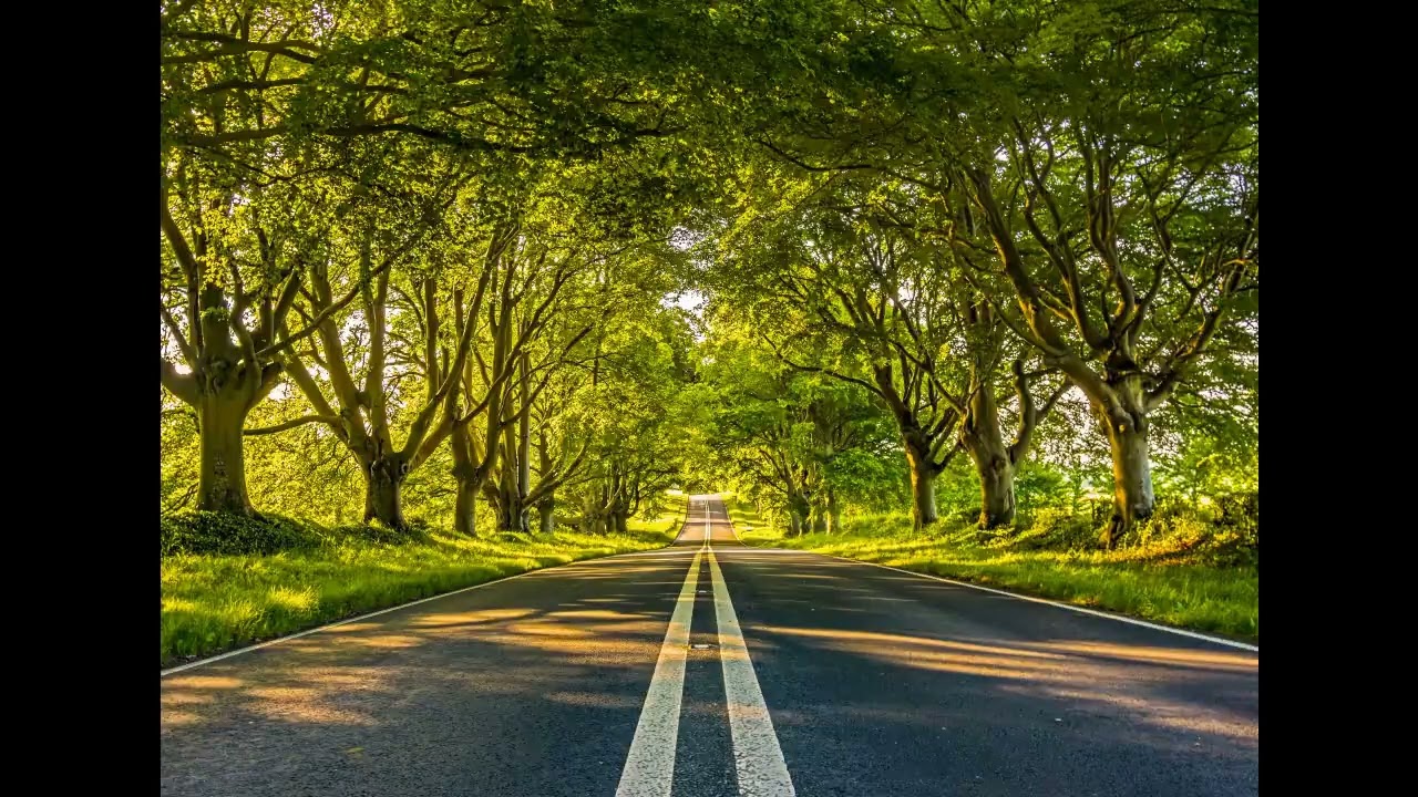 DISCO POLO 2024 WAKACJE