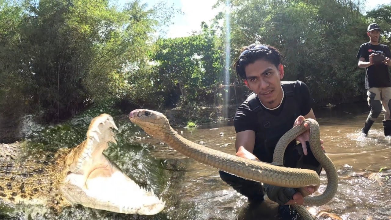 BUWAYA AT TATLONG COBRA PUMAPATAY NG MAHAL NILANG ASO