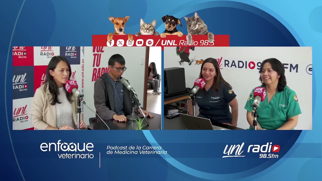 Importancia de las zarigüeyas | ENFOQUE VETERINARIO
