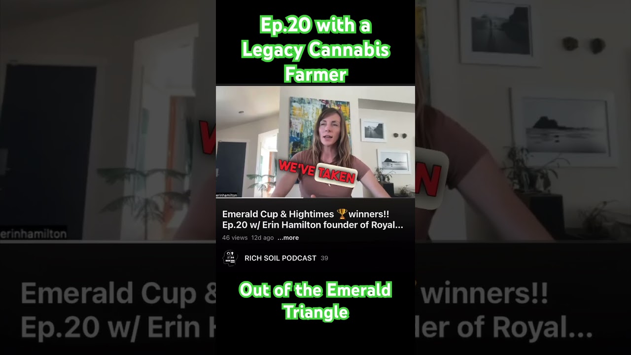 Women Cultivators putting out fire flower !  #hightimes #emeraldcup #podcast