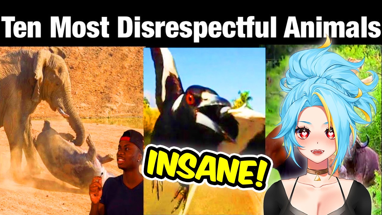 Top 10 Animals with Black Air Force Energy SHOCKS ME!