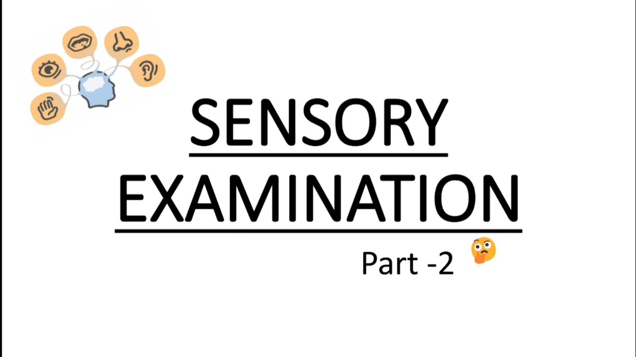 Sensory examination made easy | hindi/english | physiotherapy| 1st to 4th | learn 