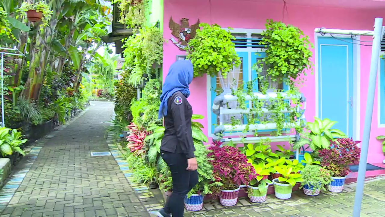 REDAKSI PAGI | INSPIRASI PAGI | KAMPUNG GO GREEN (22/01/18)