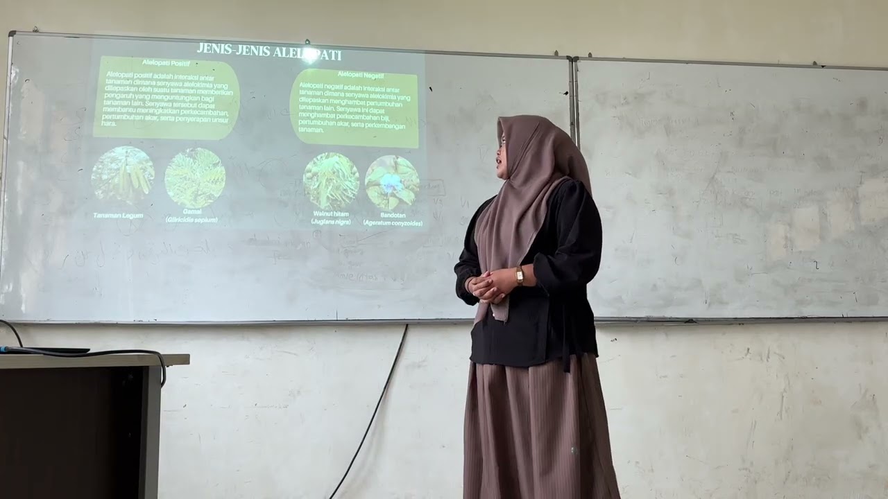 Tugas video Kompetisi,Periode Kritis, dan Alelopati Gulma kelompok 2, 4A