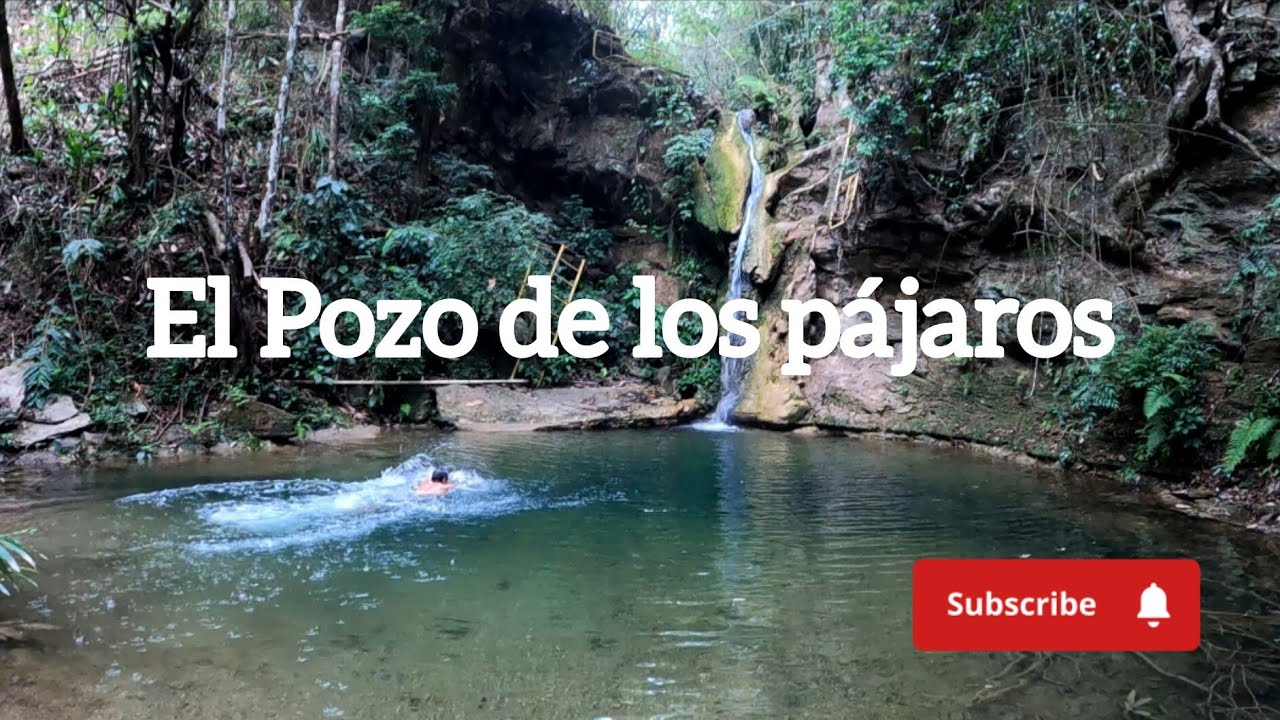 El Pozo de los pájaros 🇻🇪 kayak en la Mariposa.
