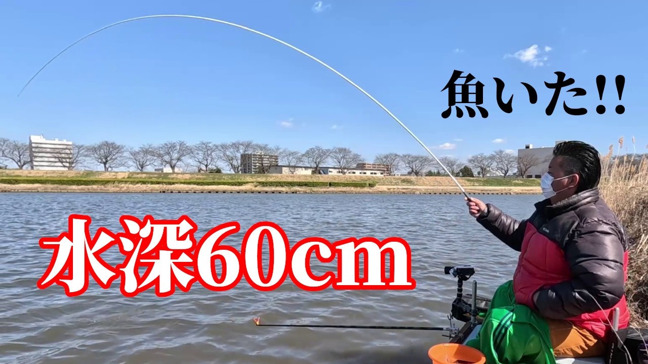 泥が押し寄せた台地に向かってエサを打つへらぶな釣り