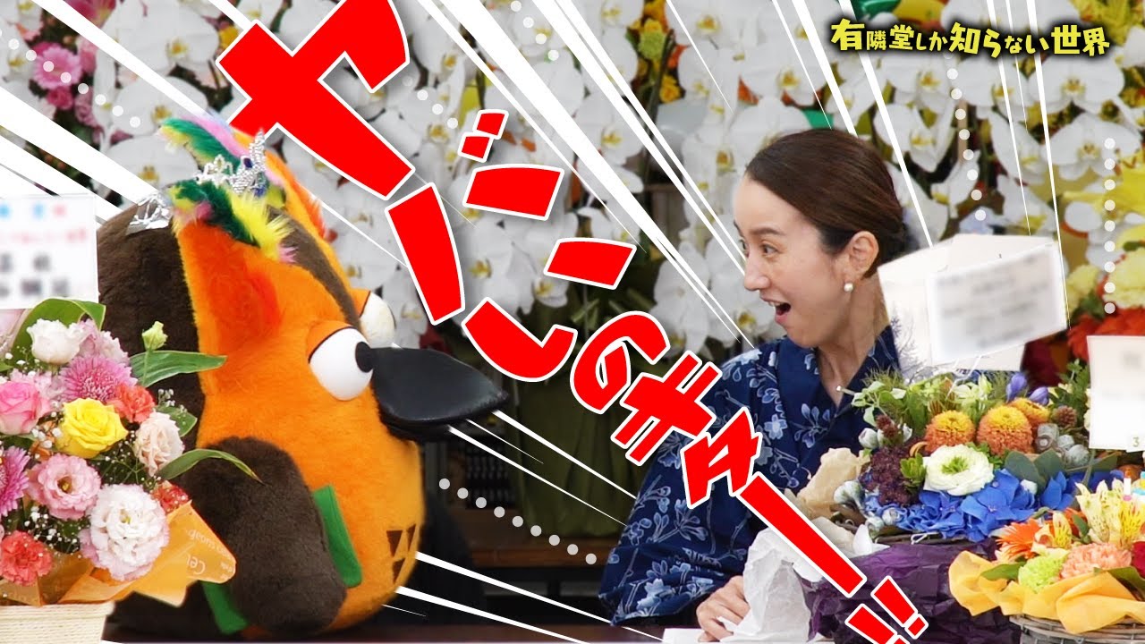 【”あの人”から贈り物】チャンネル３周年（番外編・後編） 〜有隣堂しか知らない世界205〜