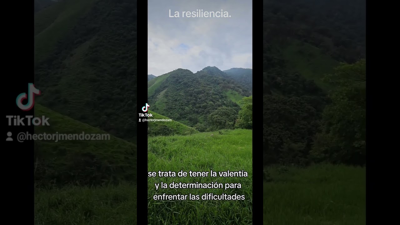 La resiliencia. #serfuerte #serfuerteeslaunicaopci&oacute;n #noterindas #sinmiedoalexito #sertumismo