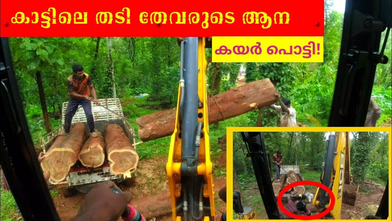 കാട്ടിലെ തടി മുറിച്ചുറ്റി #mproods #jcb