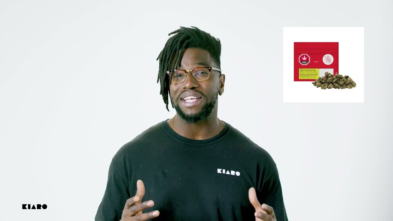 Versus Brand Spotlight