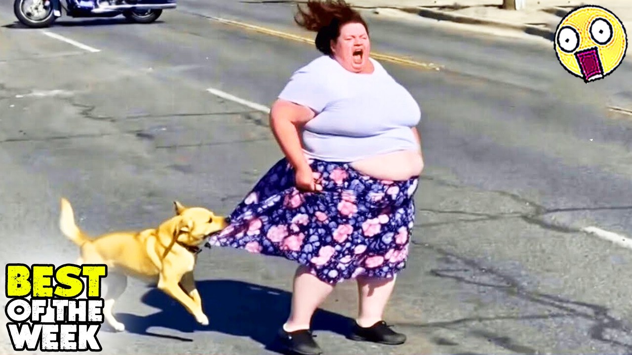 TRY NOT TO LAUGH #12 | 😂  Best Fails of The Week | Instant Regret Fails Compilation 2026