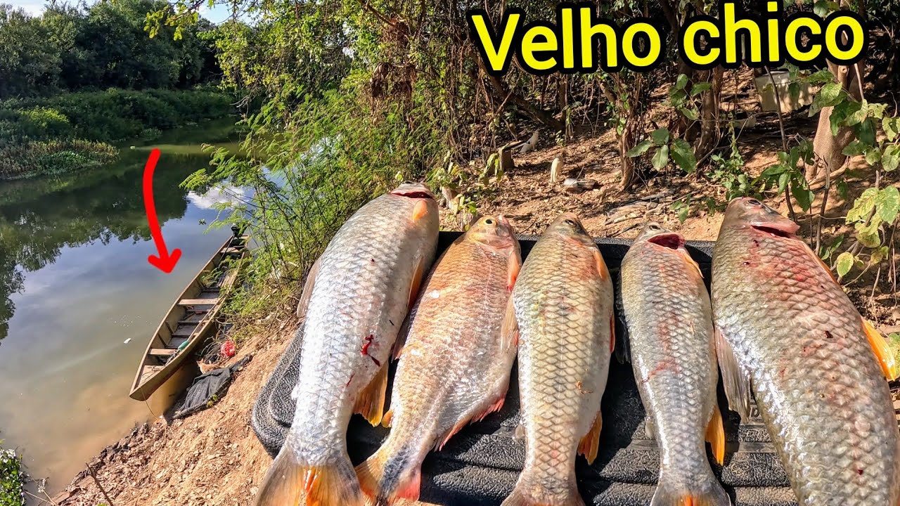Pescaria no Rio São Francisco, vida ribeirinha, pesca com canoa de madeira!