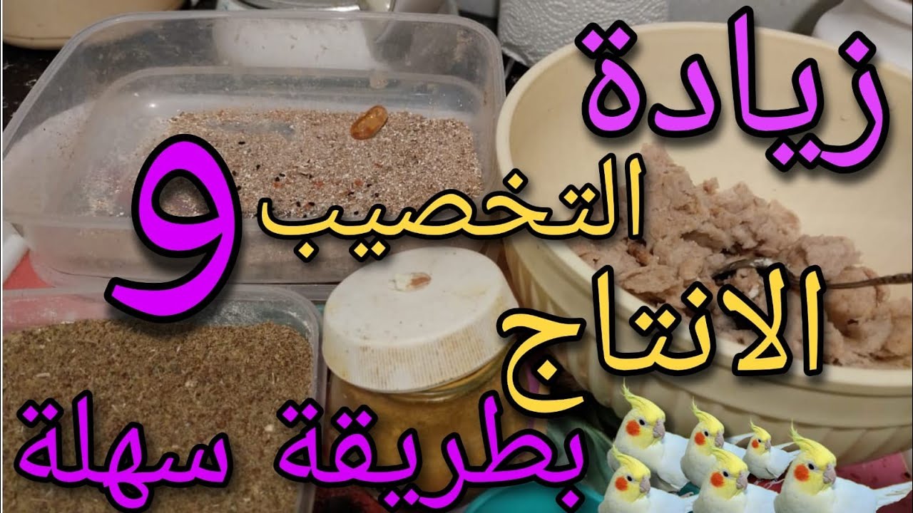 ازاى ازود  تخصيب وانتاج وصحة الطيور __طريقة سهلة ومضمونة