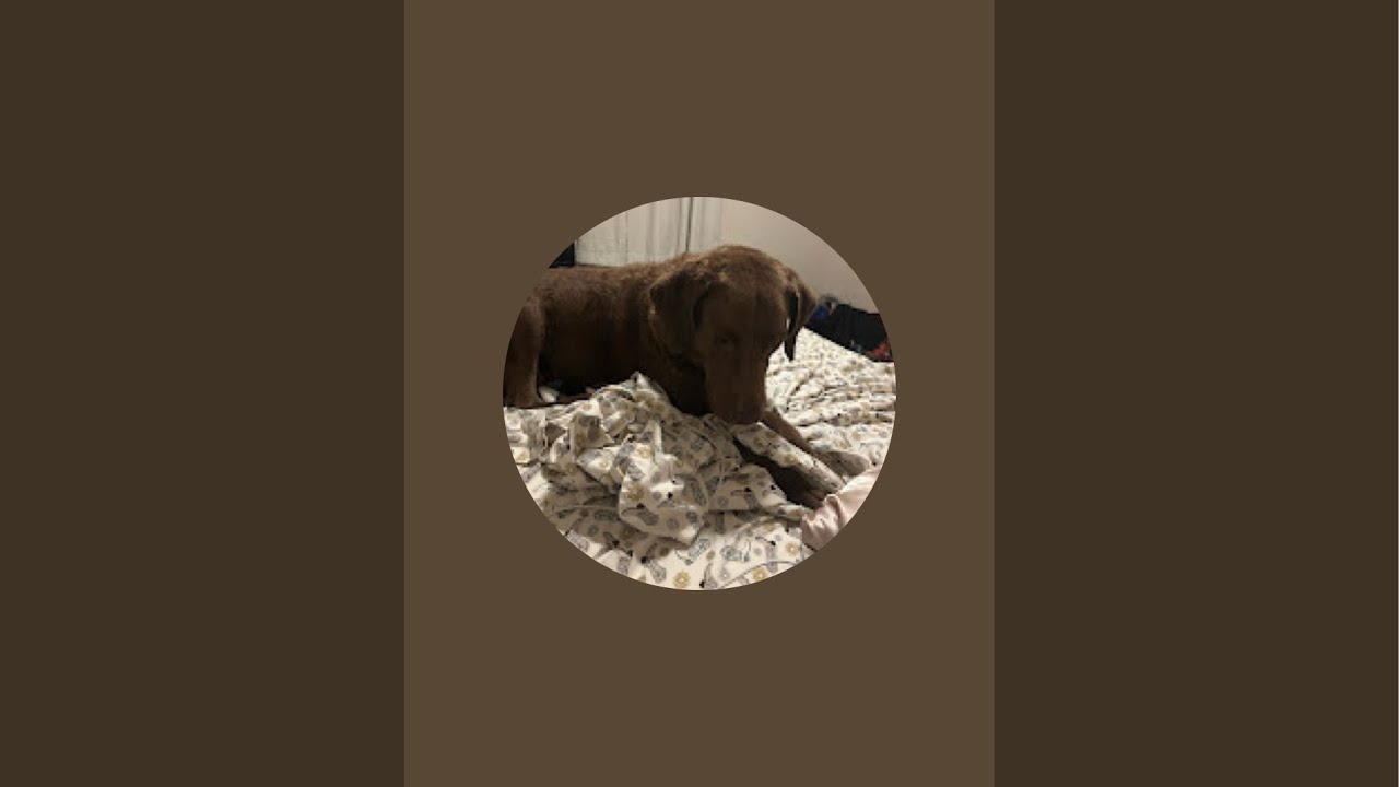 Remi is BaCk!!!!