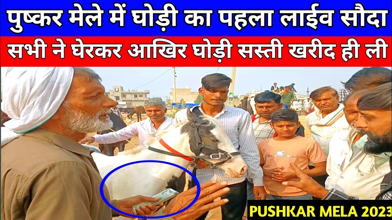 पुष्कर मेले का पहला लाईव सौदा। सभी ने घेरकर आखिर घोड़ी सस्ती खरीद ही ली। PUSHKAR MELA 2023।