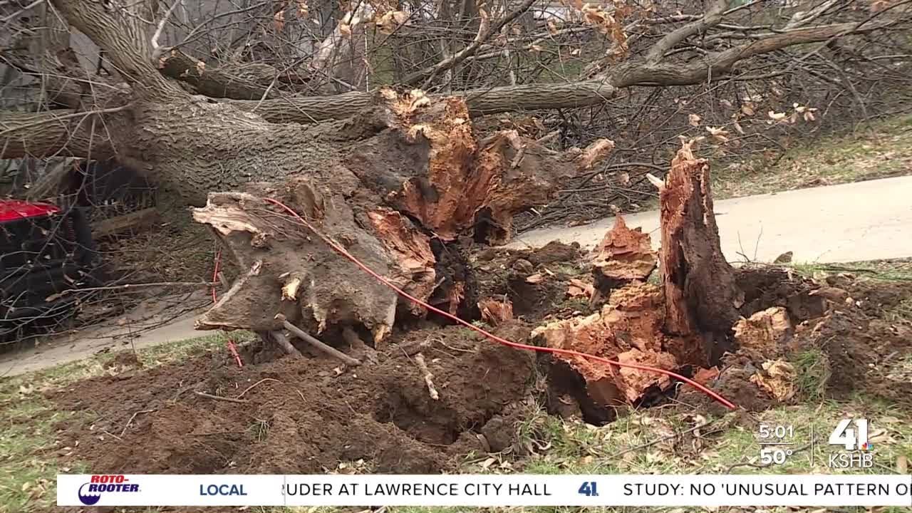 Merriam residents describe EF-0 tornado that uprooted trees, crushed home & truck