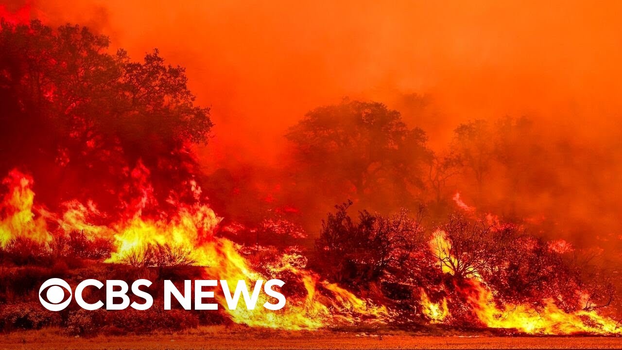 Wildfires force evacuations across Western U.S.