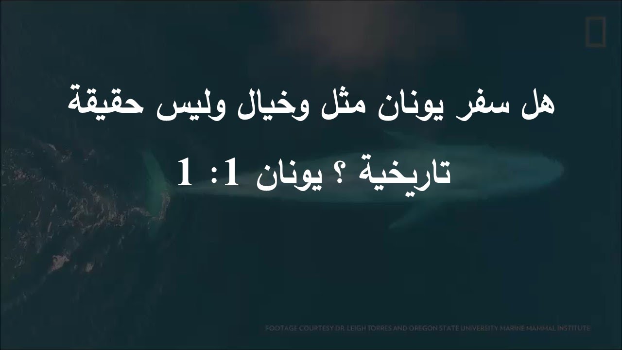 هل سفر يونان مثل وخيال وليس حقيقه تاريخية